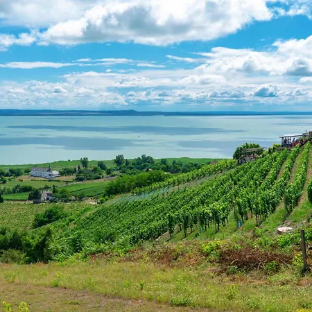 Holiday home Treasure Of The Past With Whirlpool - Happy Balatonrendes