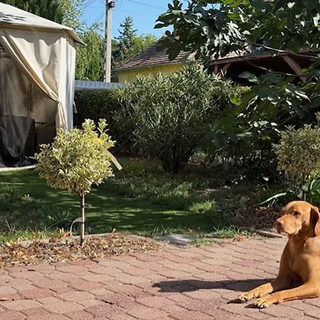 بيت للعطل Treasure Of The Past With Whirlpool - Happy Balatonrendes