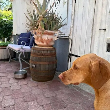 Hébergement de vacances Treasure Of The Past With Whirlpool - Happy