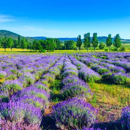 Treasure Of The Past With Whirlpool - Happy *