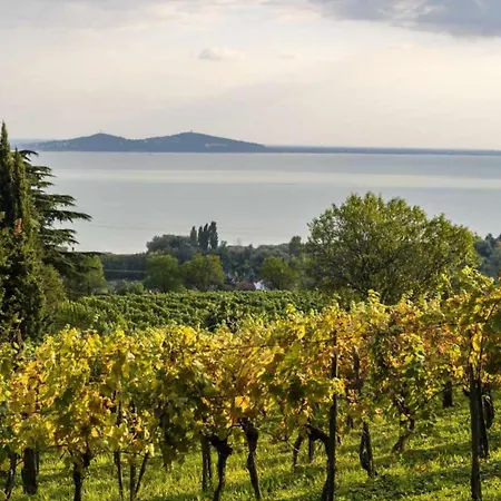 Treasure Of The Past - Happy Dom wakacyjny