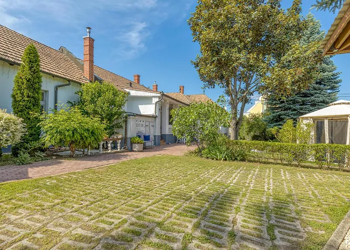 Treasure Of The Past - Happy Balatonrendes