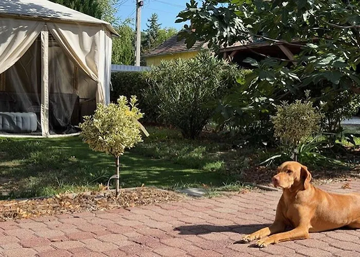 Dom wakacyjny Treasure Of The Past - Happy Balatonrendes