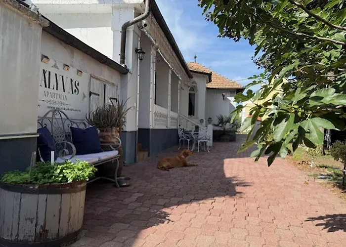 Treasure Of The Past - Happy * Balatonrendes