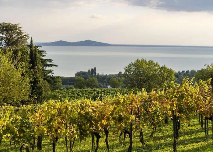 Treasure Of The Past - Happy Dom wakacyjny